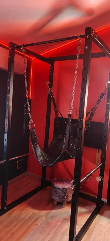 Le boudoir des jouissances perverses