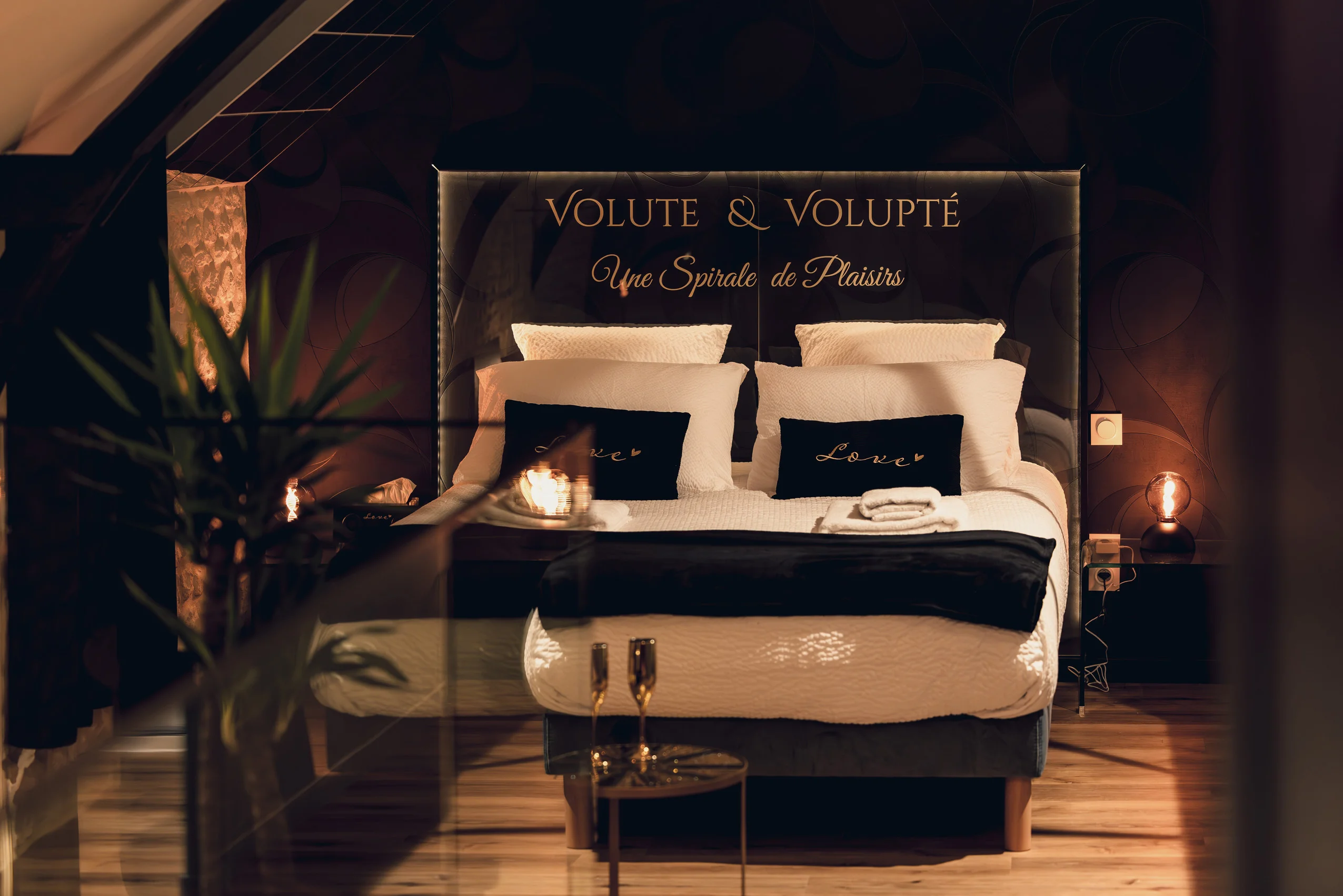 Volute & Volupté