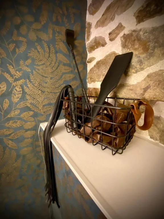 Love Room Plaisir Secret