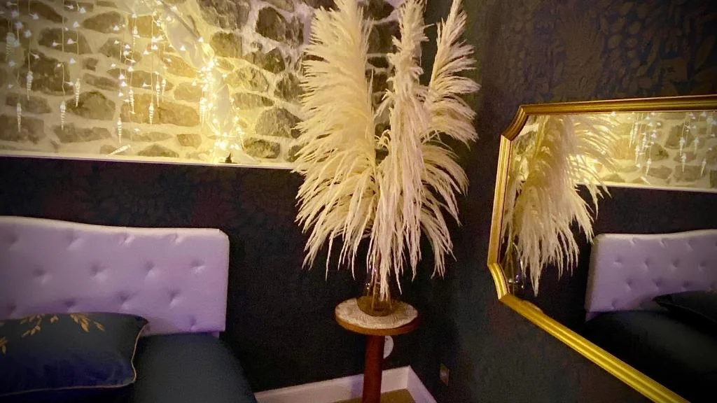 Love Room Plaisir Secret