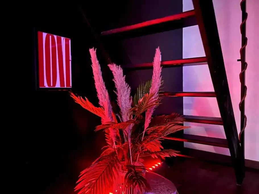 Red love room