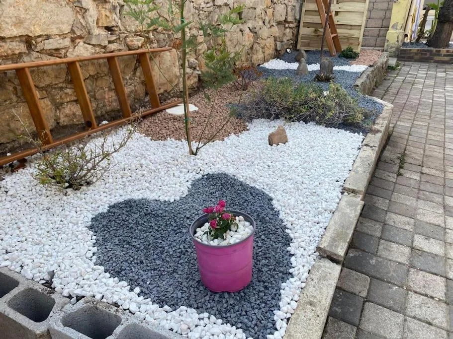 la coquine love room