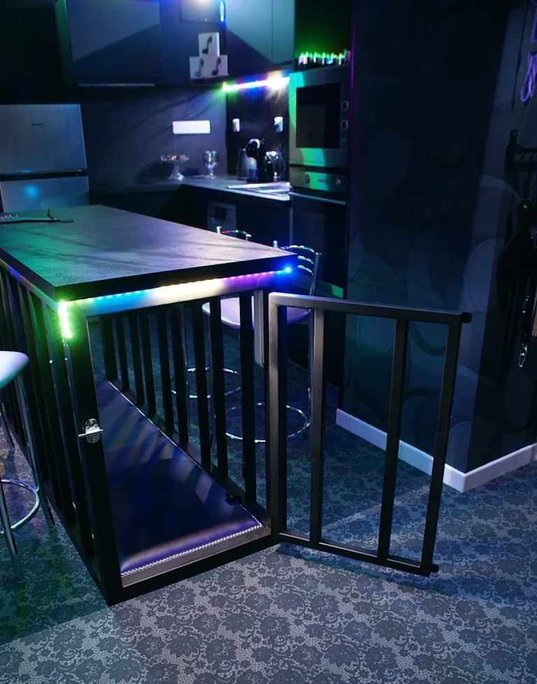 Playroom La DS, photo 2