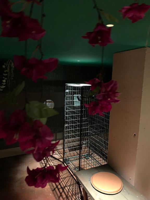 The Secrets Jungle - Love Room à Altkirch