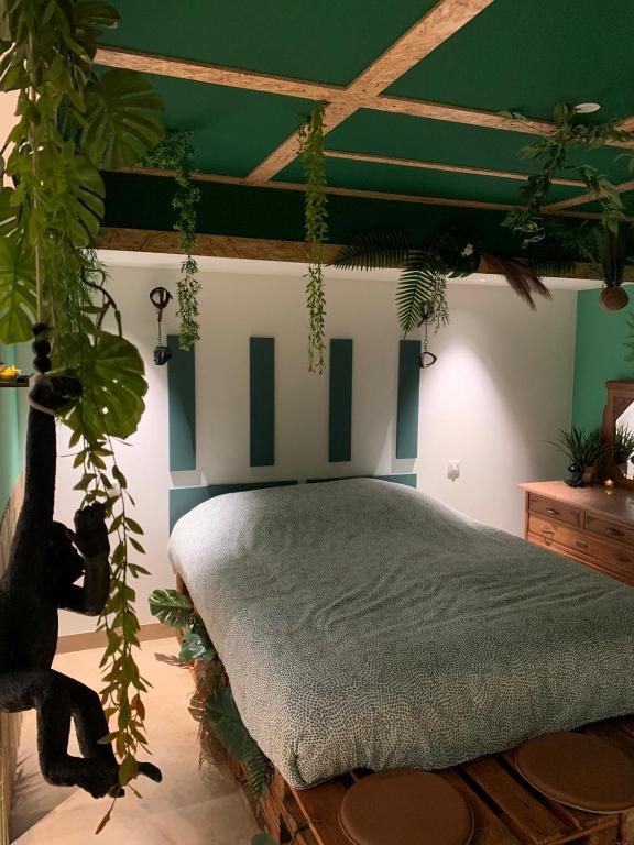 The Secrets Jungle - Love Room à Altkirch