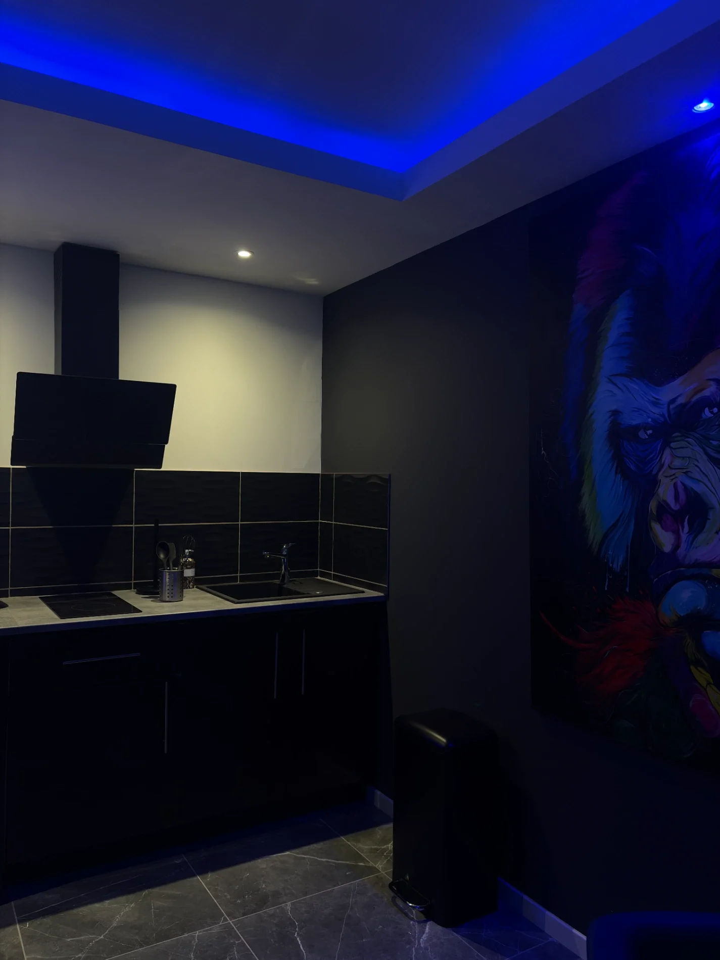 Le Sanctuaire du Gorille